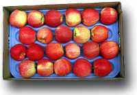 Gala Apples in a Box