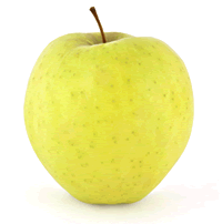 Golden Delicious Apple