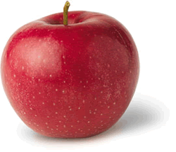 Rome Apple